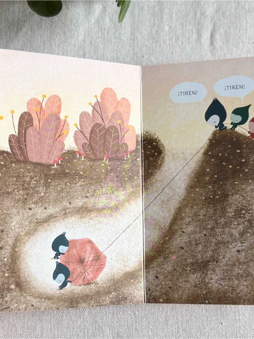 Un Tesoro Kids Board Book - Green